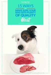 15 maneiras de garantir que seu cão receba apenas carne de boa qualidade [Infográfico]