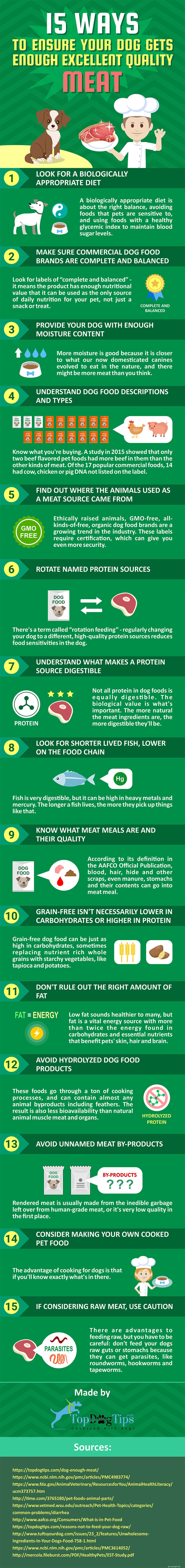15 maneiras de garantir que seu cão receba apenas carne de boa qualidade [Infográfico]
