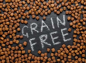 獣医に尋ねる：穀物を含まない食品は犬にとって悪いですか？ 
