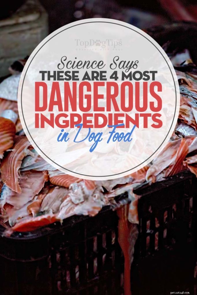 4 gevaarlijke ingrediënten gebruikt in hondenvoer