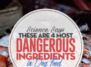 개 사료에 사용되는 4가지 위험한 성분