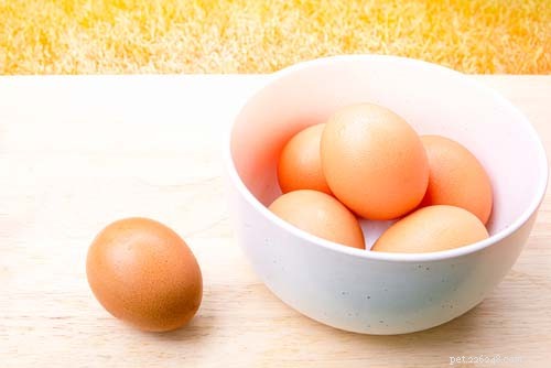 Come cucinare le uova per i cani