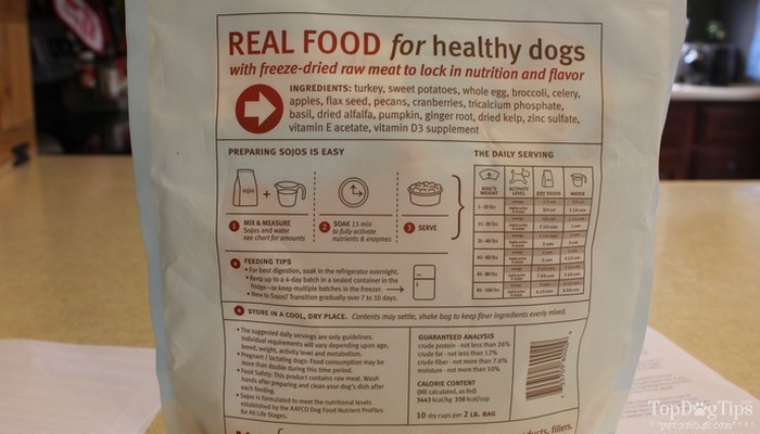 Quanto você deve alimentar seu cão