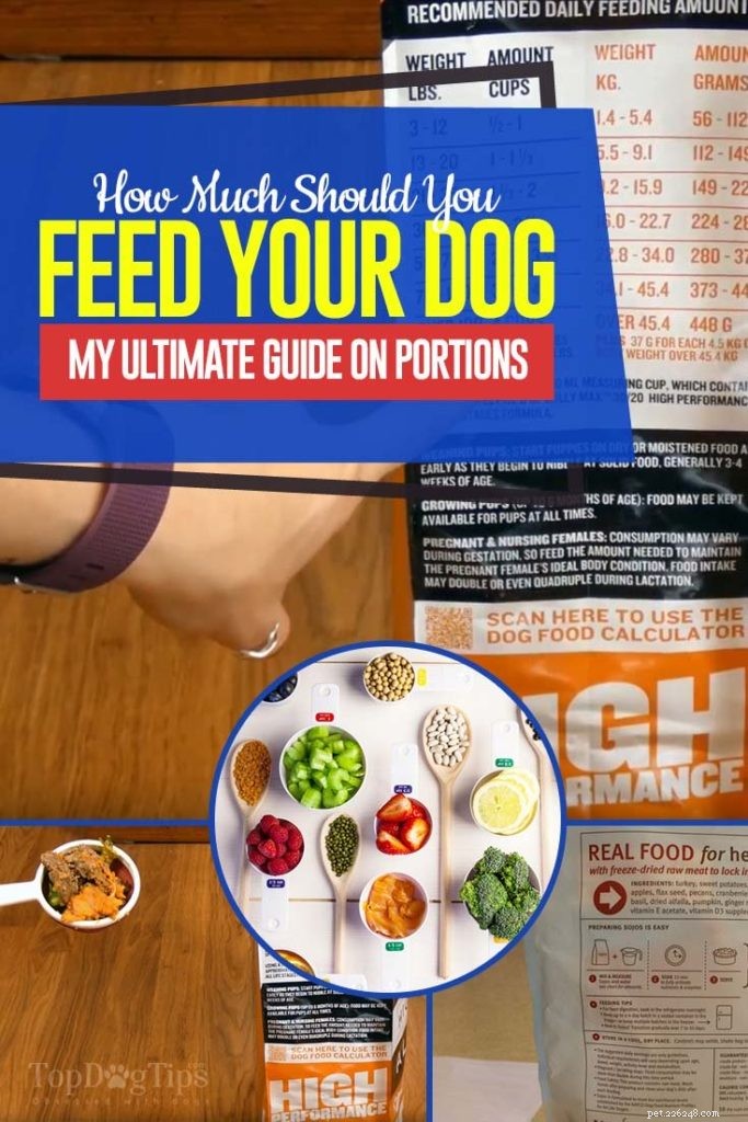 Hur mycket bör du mata din hund