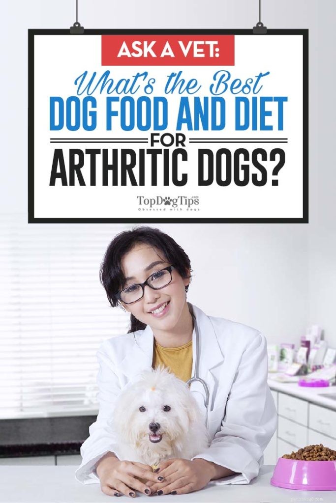 수의사에게 물어보십시오:관절염에 가장 좋은 개밥은 무엇입니까?