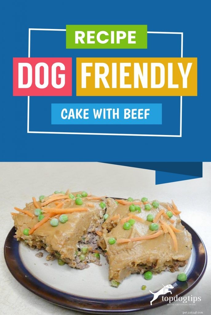 レシピ：牛肉入り犬にやさしいケーキ 