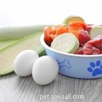 レシピ：犬のための健康的な生の食事 