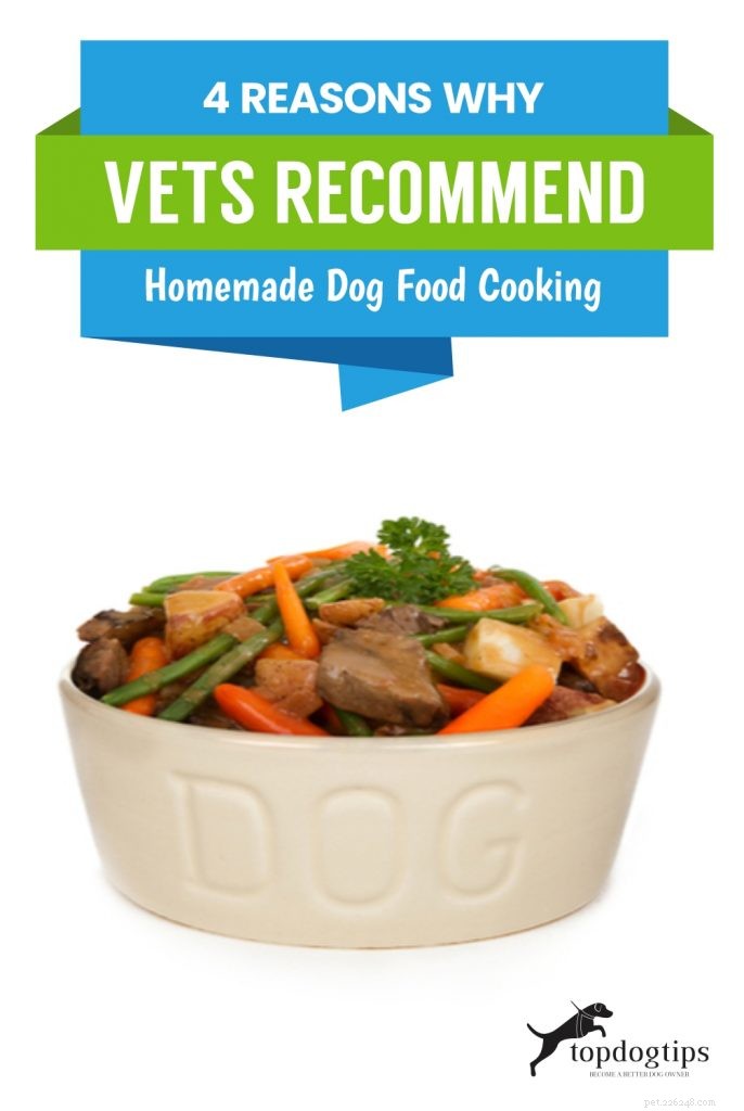 4 motivi per cui i veterinari consigliano di cucinare cibo per cani fatto in casa