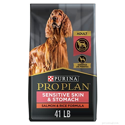 Como alimentar cães com pele sensível