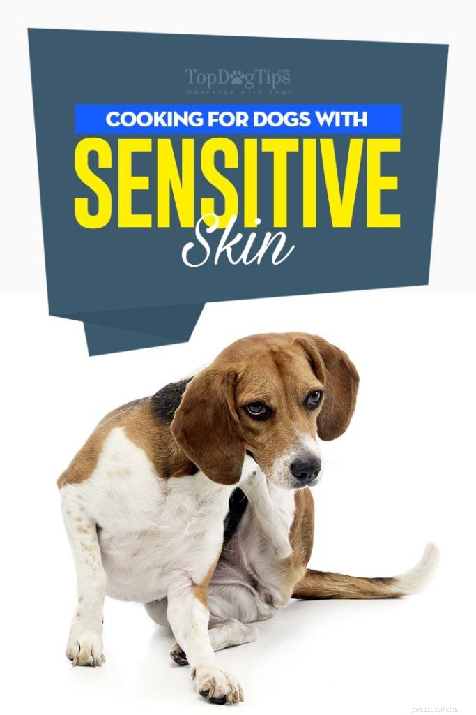 Come nutrire i cani con pelle sensibile