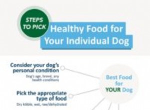 28 pravidel nákupu dobrého krmiva pro psy