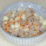 レシピ：糖尿病の犬の家庭料理の食事療法 