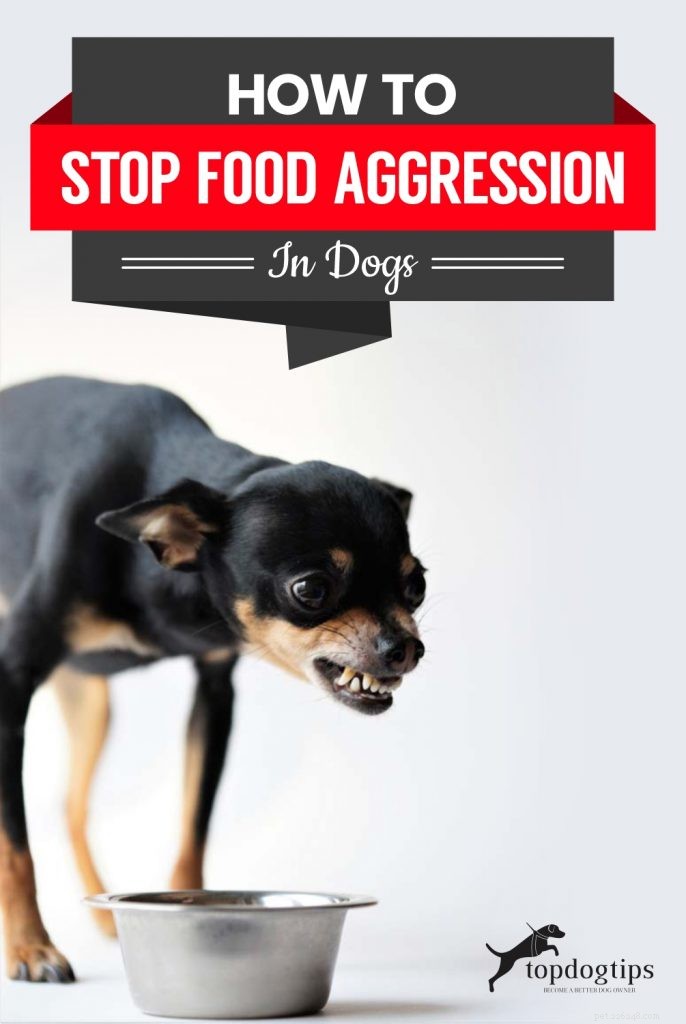 犬の食物攻撃を止める方法 