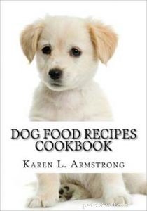 13 ótimos livros para iniciantes em comida caseira para cães