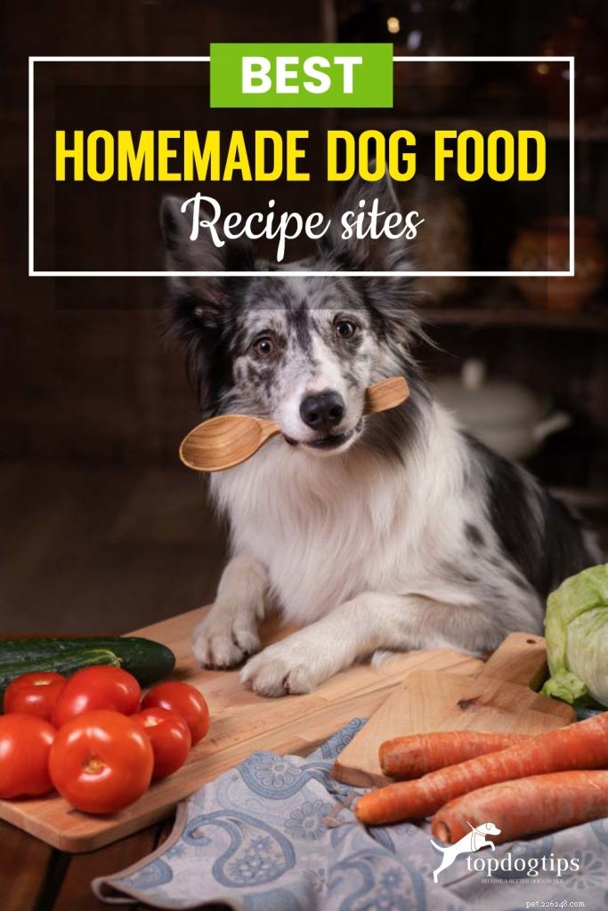 15 ottimi siti di ricette per cibo per cani fatto in casa