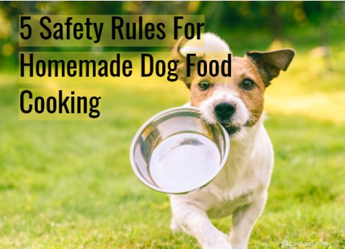 5 regras de segurança para cozinhar comida caseira para cães