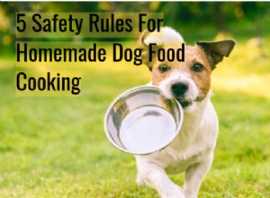 5 bezpečnostních pravidel pro vaření domácího krmiva pro psy