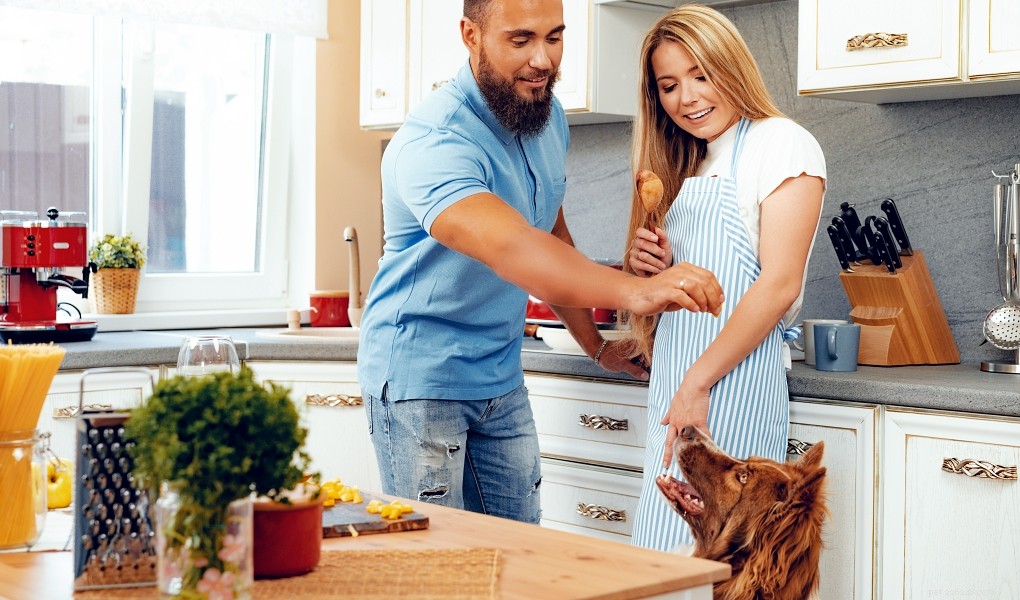 5 razões para começar a fazer comida de cachorro em casa