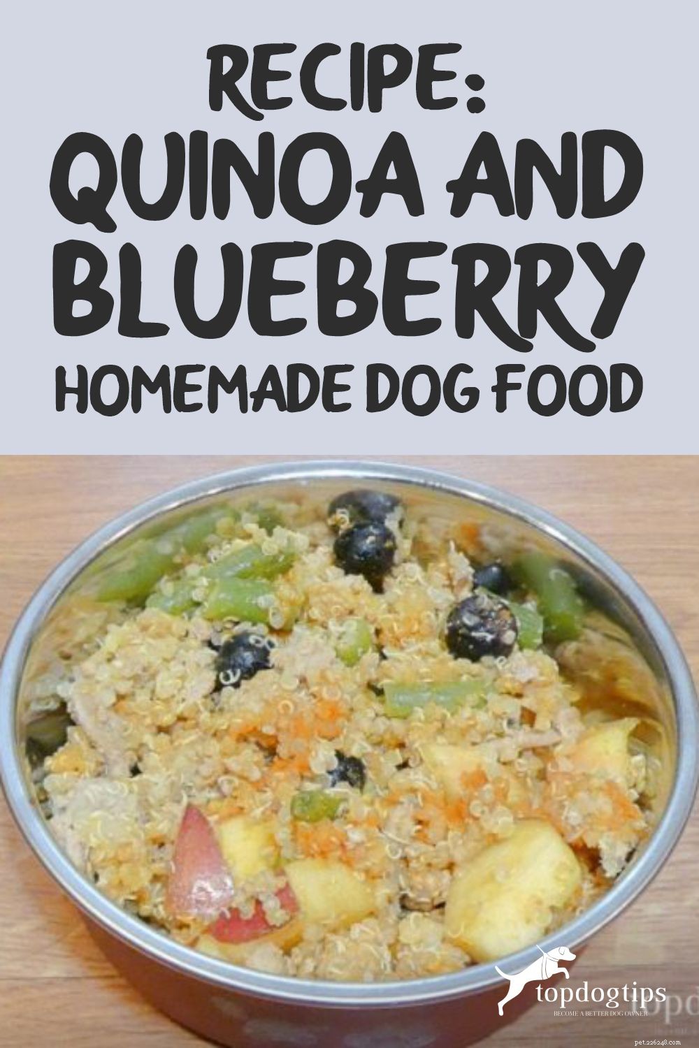 Ricetta:cibo per cani fatto in casa con quinoa e mirtilli