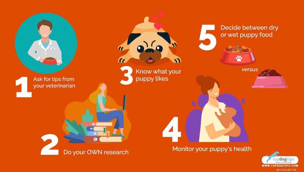 5 tips för att välja det bästa valpfodret för unga hundar