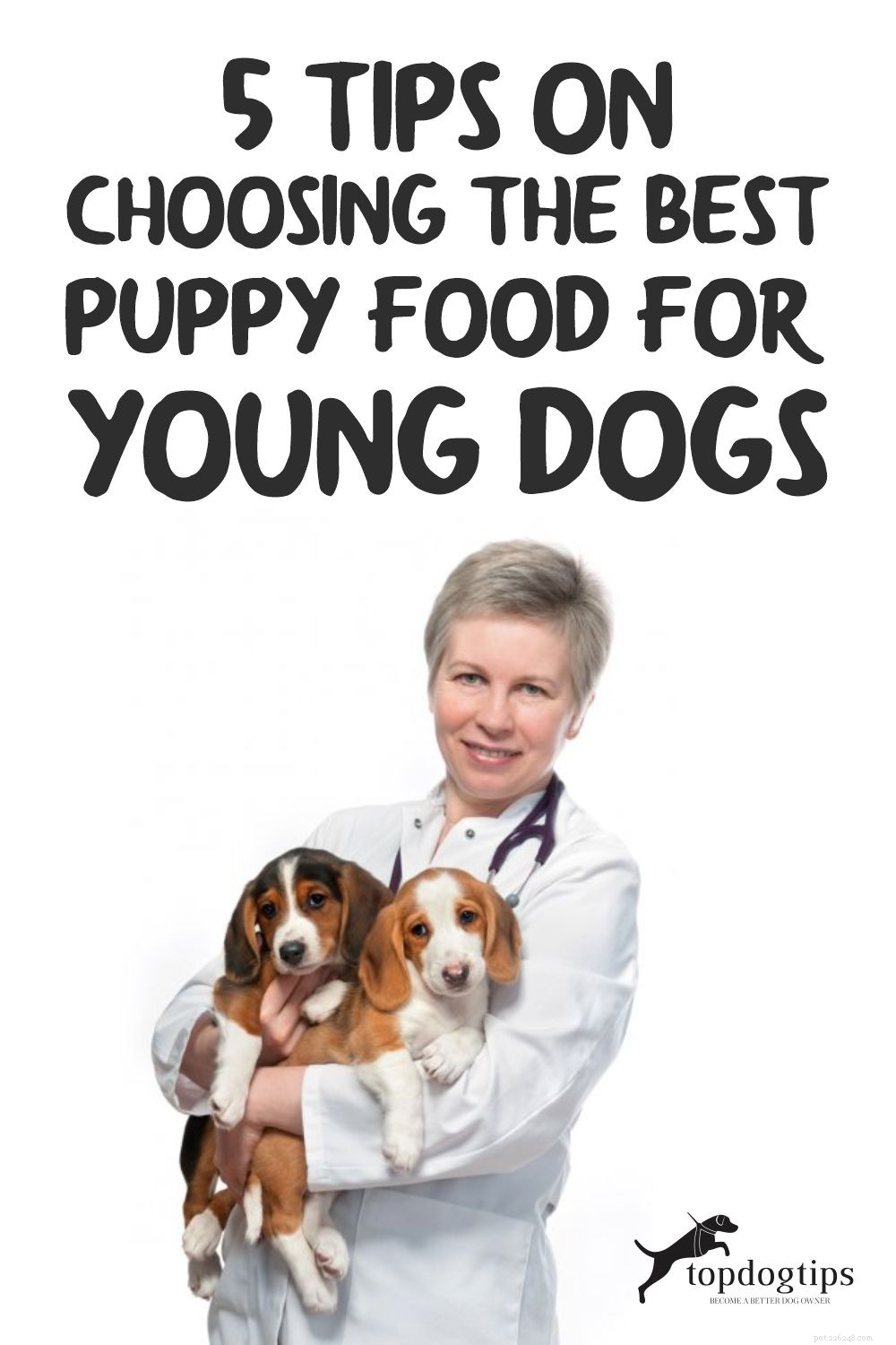 5 tips voor het kiezen van de beste puppyvoeding voor jonge honden