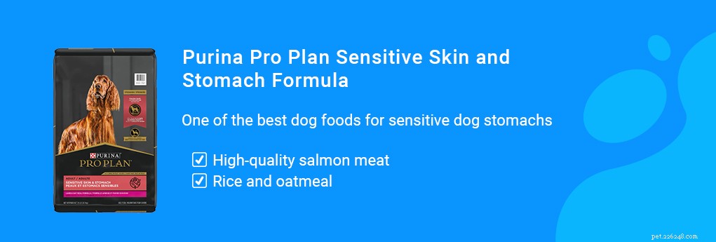 La meilleure nourriture pour chiens souffrant de diarrhée et de selles molles