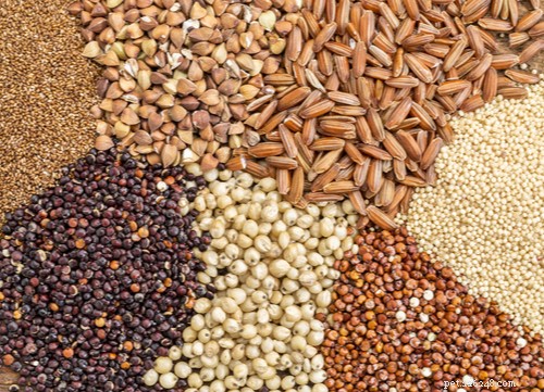 穀物を含まない食品–知っておくべきこと