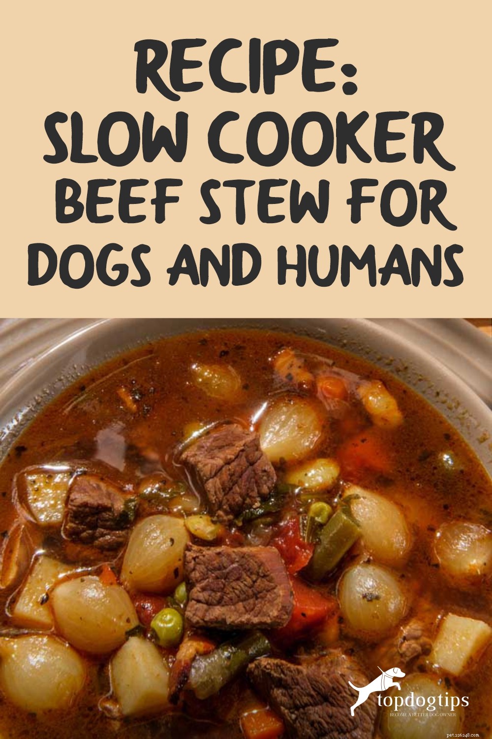 Receita:ensopado de carne de panela lenta para cães e humanos