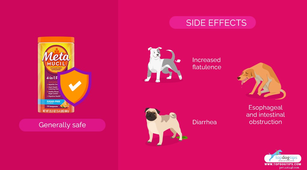 Metamucil för hundar:dess användningsområden, fördelar och biverkningar
