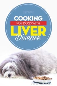 Как кормить собак с заболеваниями печени