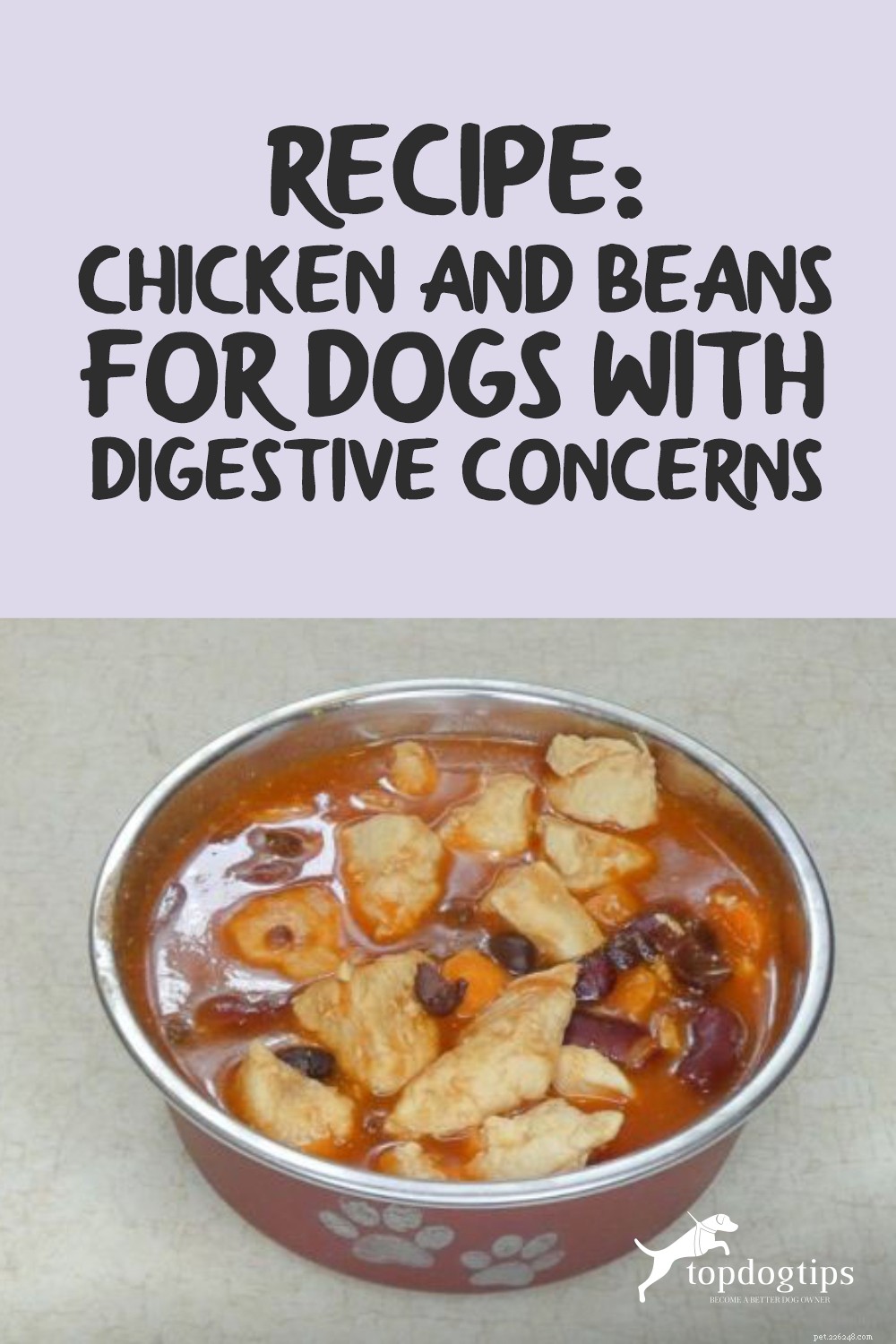 レシピ：消化が心配な犬のための鶏肉と豆 