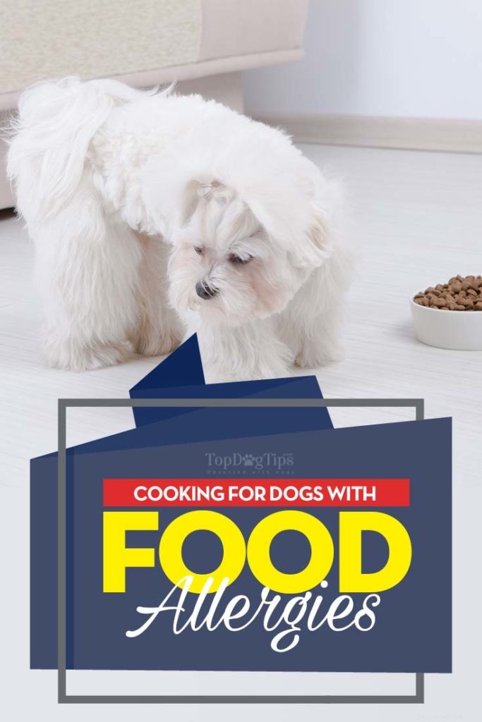Como alimentar cães com alergias alimentares