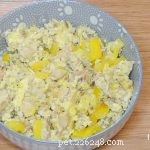 Receita:omelete de peixe e legumes para cães