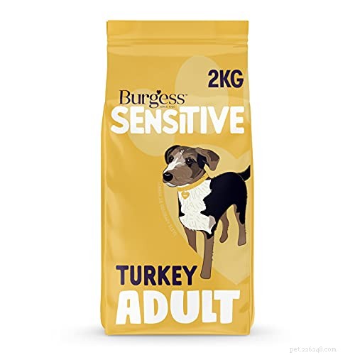Il miglior cibo per cani per cani con stomaco sensibile