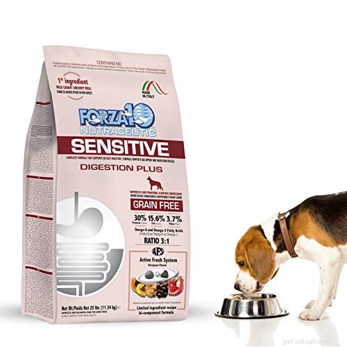 Nejlepší krmivo pro psy s citlivým žaludkem