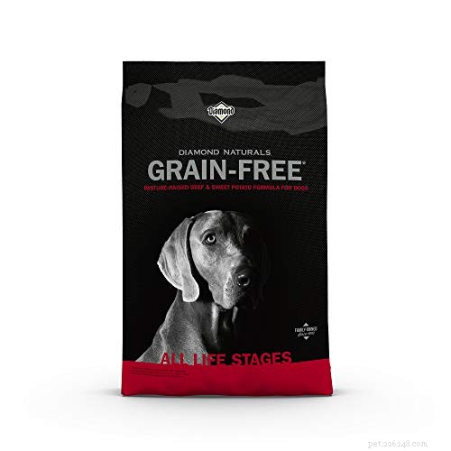 Os melhores alimentos para cães sem glúten e receitas para cães com sensibilidade ao glúten