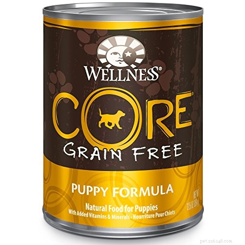 Bästa glutenfria hundfoder och recept för hundar med glutenkänslighet