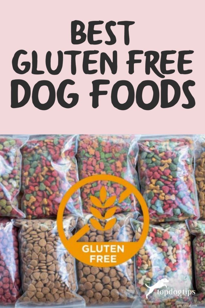 I migliori alimenti per cani senza glutine e le migliori ricette per cani con sensibilità al glutine