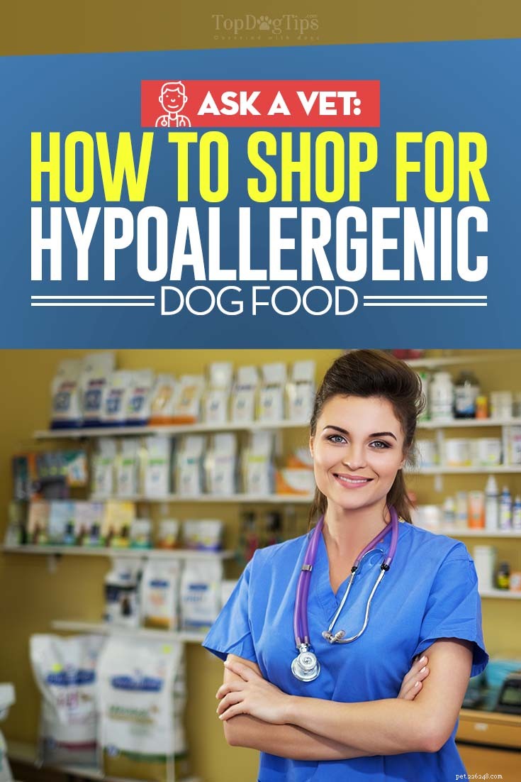 Guia do veterinário sobre como comprar alimentos hipoalergênicos para cães