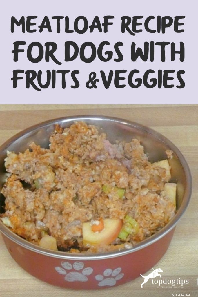 Receita de bolo de carne para cães com frutas e legumes
