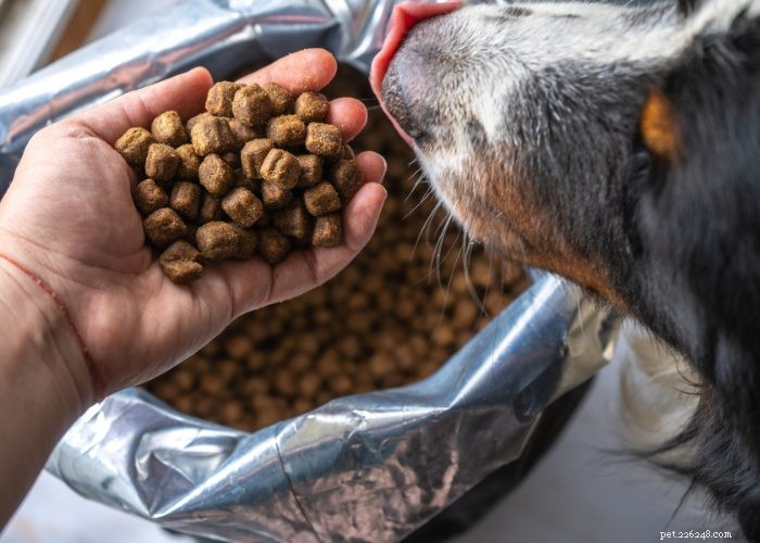 Examen :Services de livraison d aliments frais pour chiens
