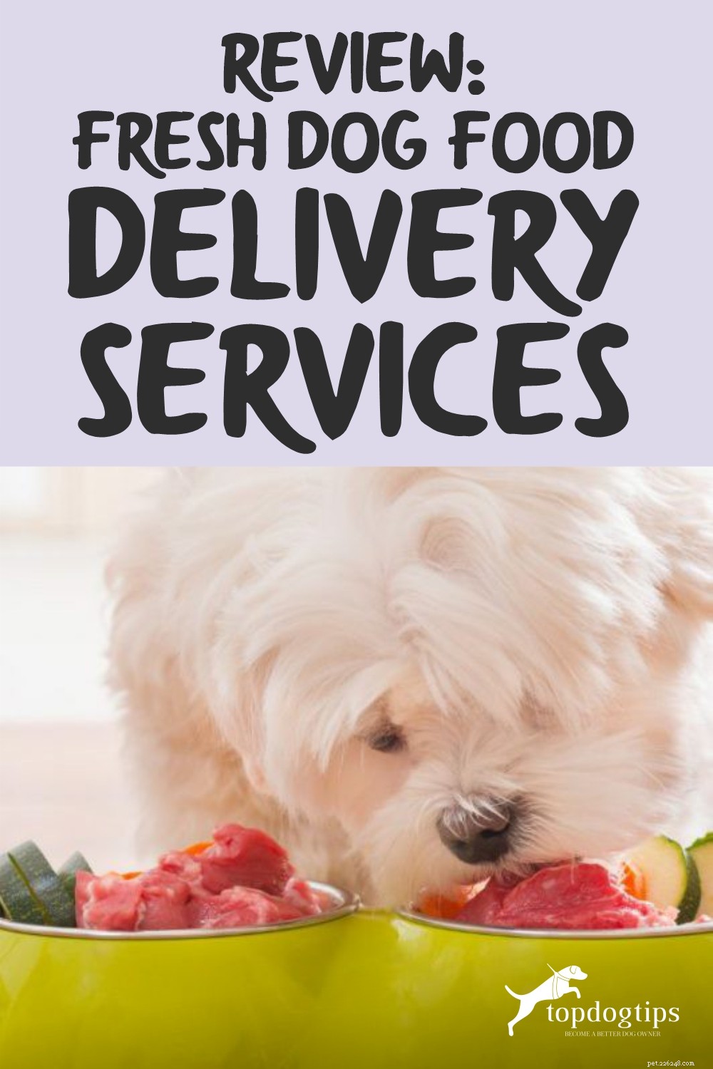 Review:Bezorgdiensten voor vers hondenvoer
