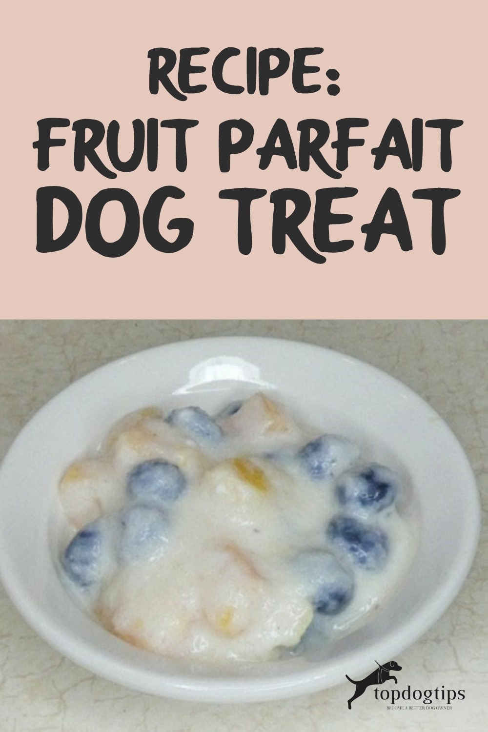 레시피:과일 파르페 강아지 간식