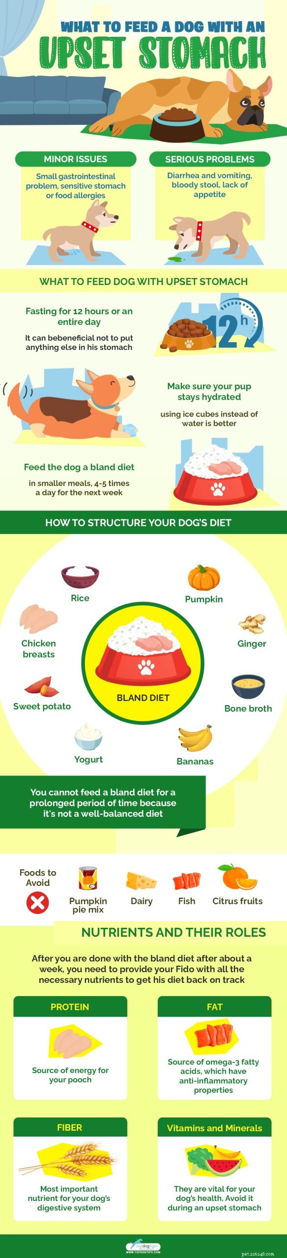 Vad man ska mata en hund med orolig mage