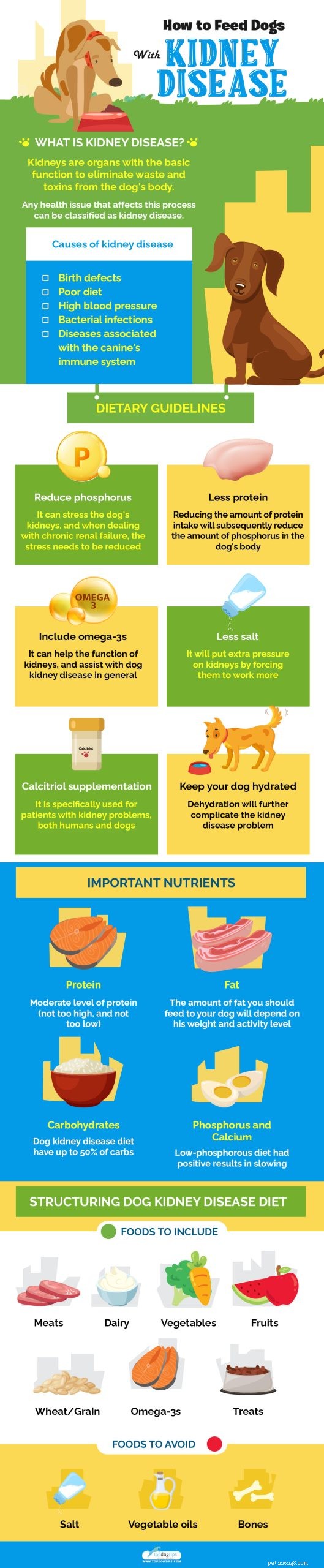Come nutrire i cani con malattie renali