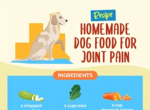 レシピ：関節痛のための自家製ドッグフード 