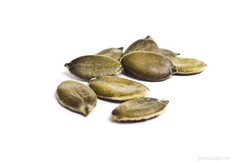 I cani possono mangiare semi di zucca?