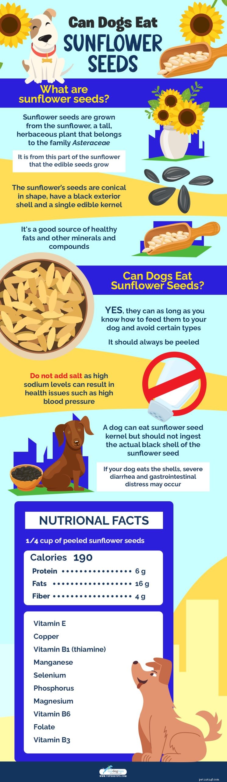 Kan hundar äta solrosfrön? 5 fördelar och 3 biverkningar