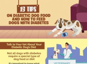 15 tipů na krmivo pro psy pro diabetiky a jak krmit psy s diabetem