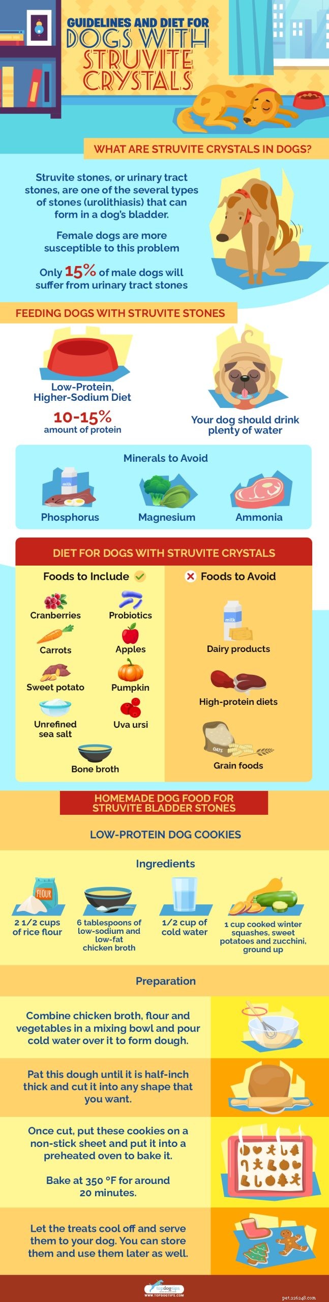 Cristalli di struvite nei cani e linee guida per una dieta speciale